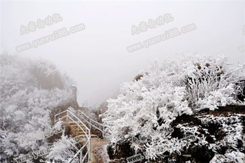 廣東也可看銀裝素裹的雪景 精密檢測(cè)治具公司小編也贊嘆不已